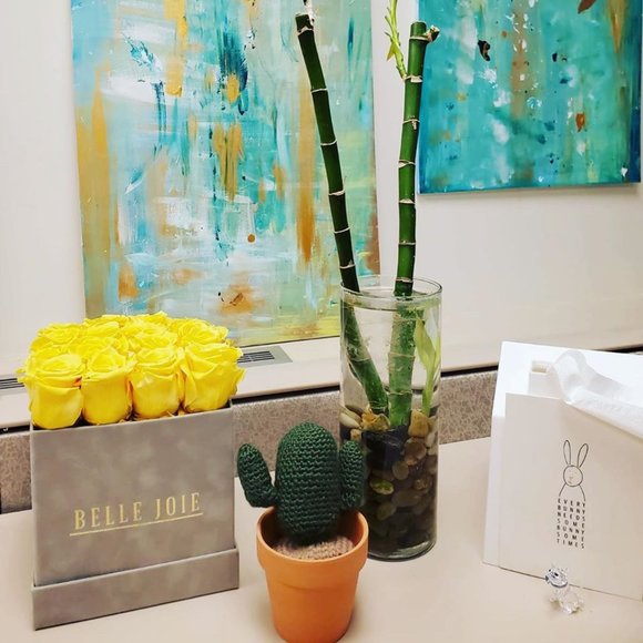 Cactus succulent plant gift - Picture 5 of 5